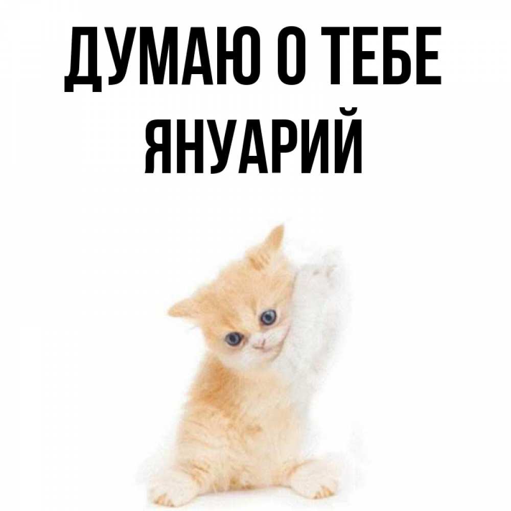 Открытка на каждый день с именем, Януарий Думаю о тебе зверушки и милота Прикольная открытка с пожеланием онлайн скачать бесплатно 