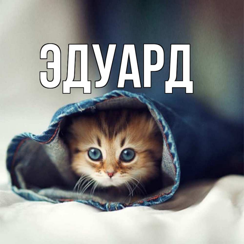 Картинка  с именем , Эдуард