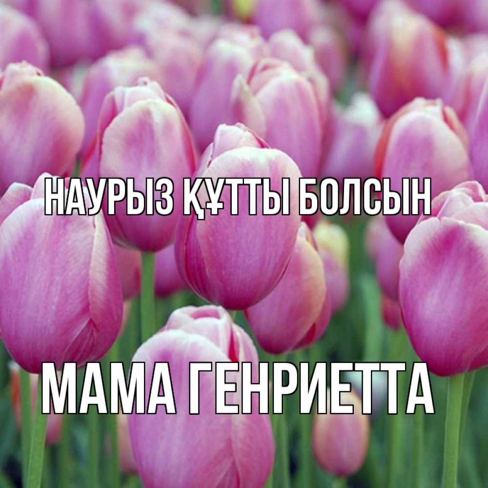 Открытка на каждый день с именем, Мама-Генриетта Наурыз құтты болсын на наурыз  день 3 Прикольная открытка с пожеланием онлайн скачать бесплатно 