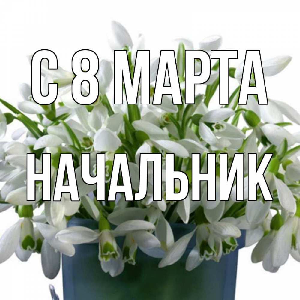 Открытка на каждый день с именем, Начальник С 8 МАРТА цветы к международному женскому дню Прикольная открытка с пожеланием онлайн скачать бесплатно 