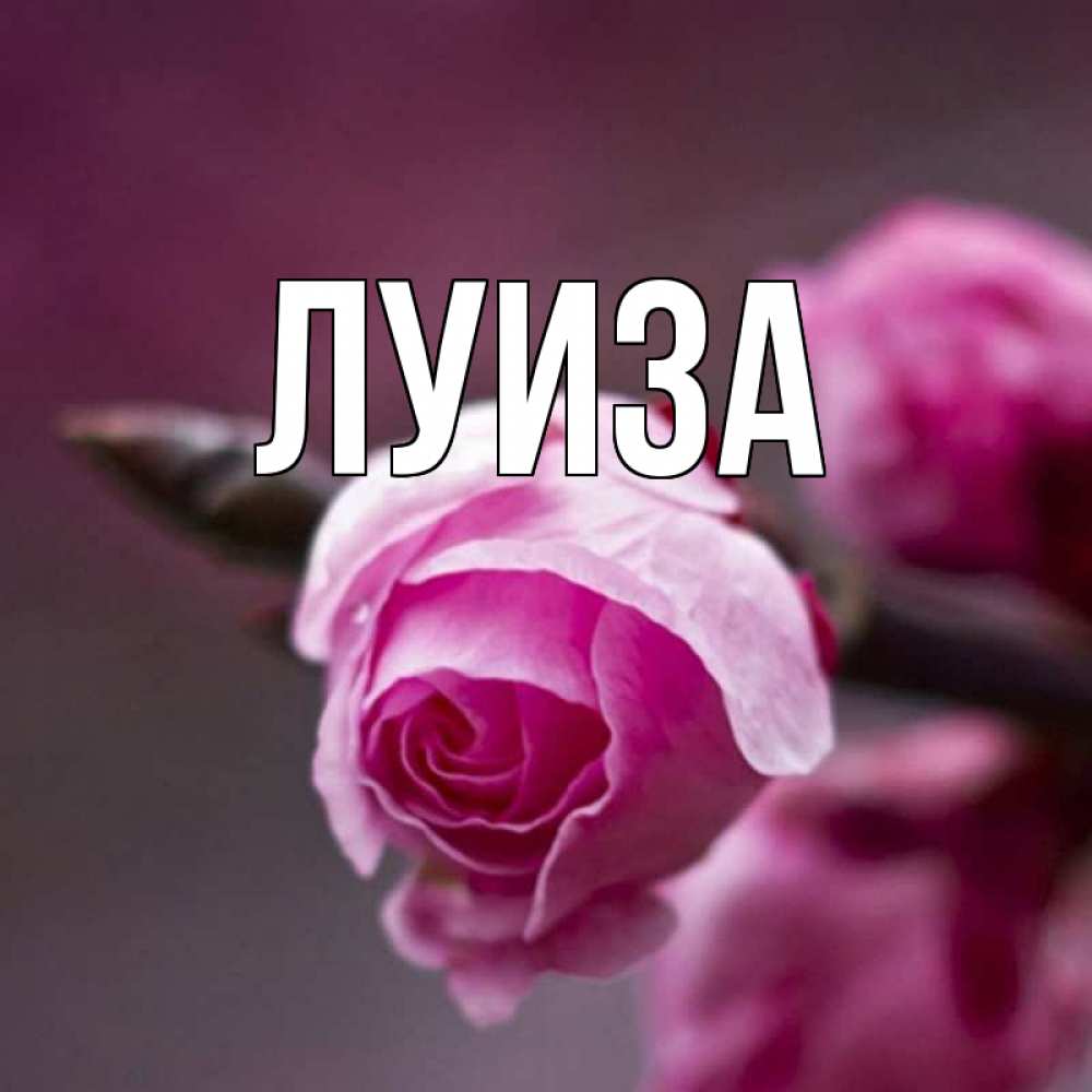 Картинки луиза, надписями симпсоны