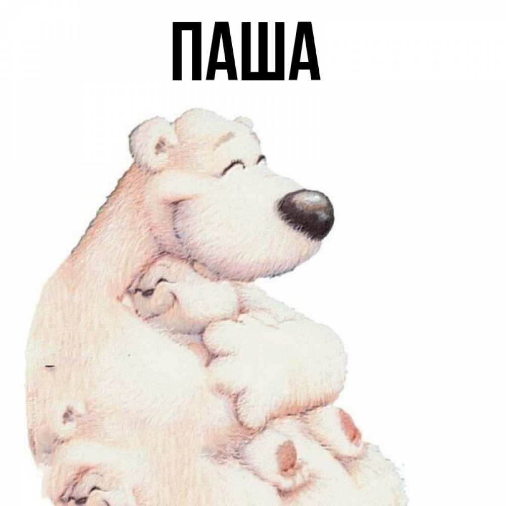 Открытка паша, днем рождения