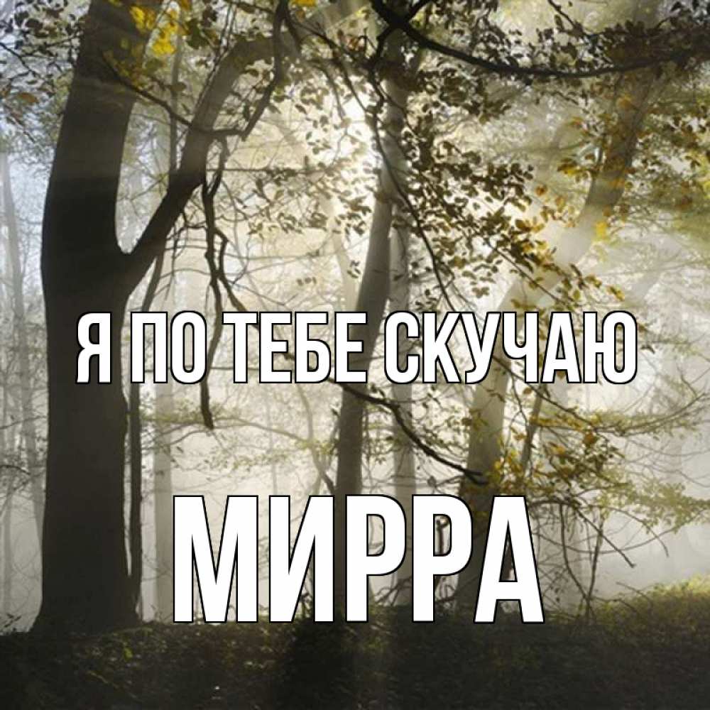 Открытка на каждый день с именем, Мирра Я по тебе скучаю грустно Прикольная открытка с пожеланием онлайн скачать бесплатно 