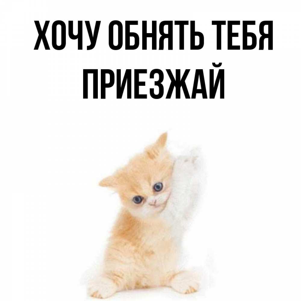 Люблю тебя приезжай скорее. Люблю тебя приезжай скорее
