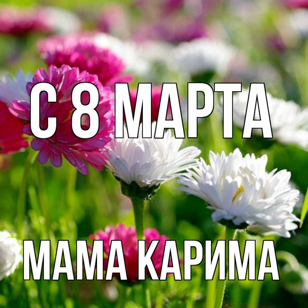 Открытка на каждый день с именем, Мама-Карима С 8 марта международный женский день 1 Прикольная открытка с пожеланием онлайн скачать бесплатно 
