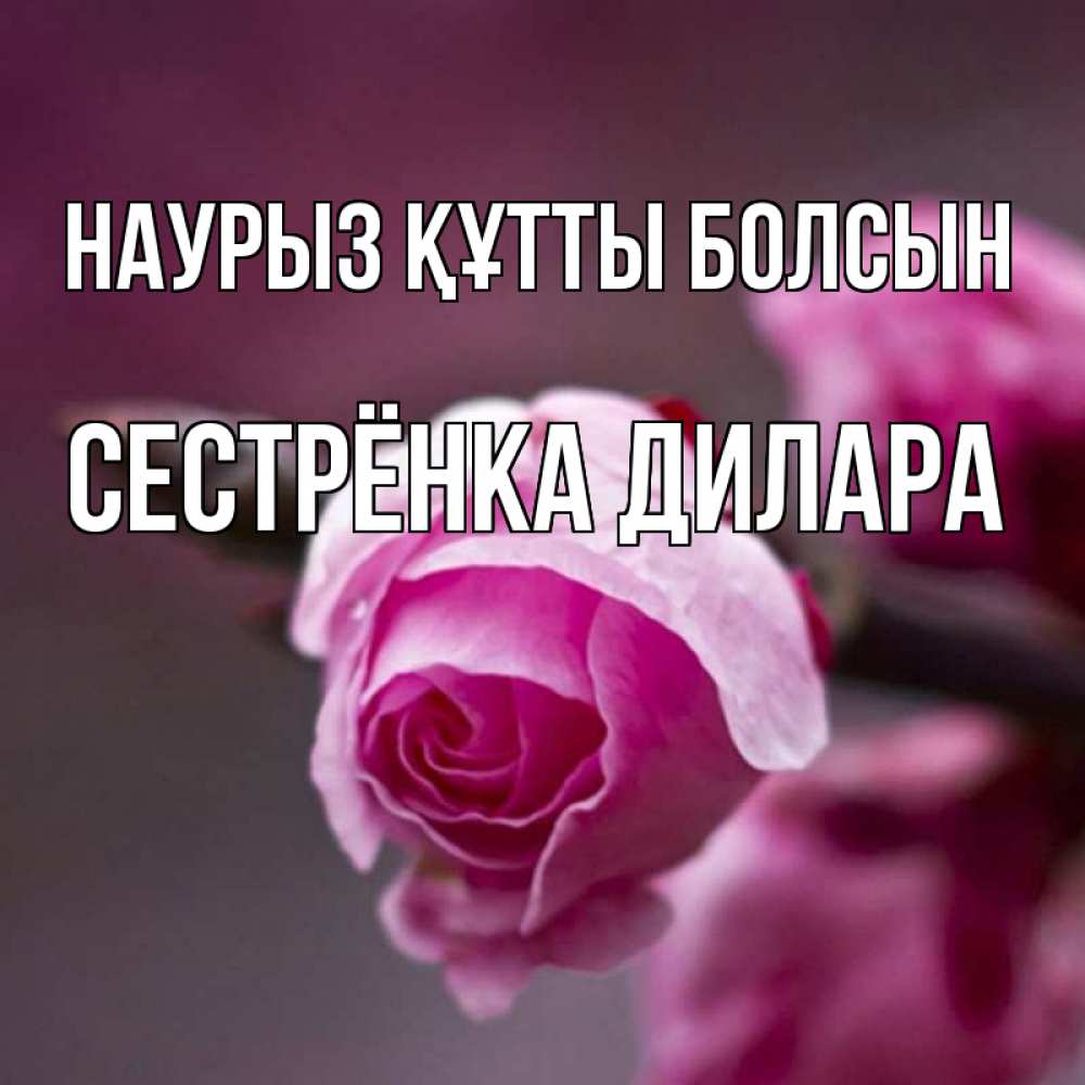 Открытка на каждый день с именем, Сестрёнка-Дилара Наурыз құтты болсын весна Прикольная открытка с пожеланием онлайн скачать бесплатно 