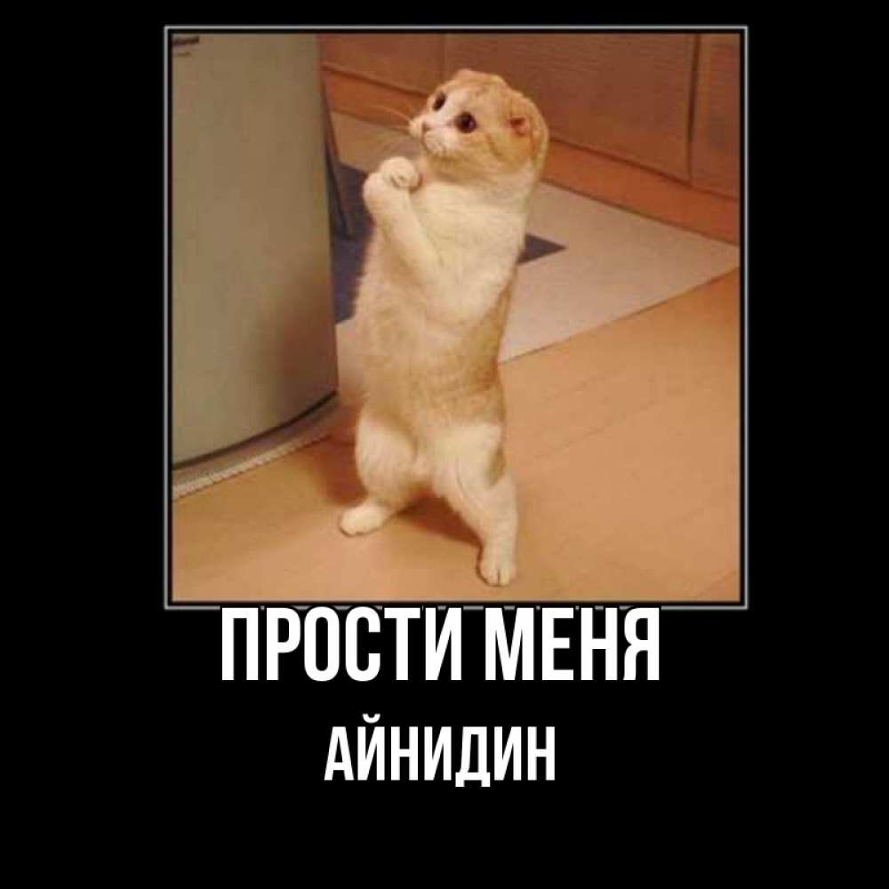 Прости Я Больше Так Не Буду Картинки
