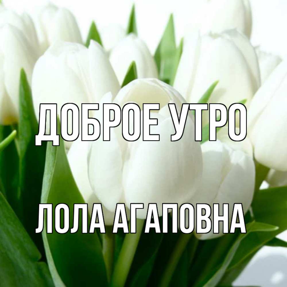 Картинка Доброе утро, Лола Агаповна