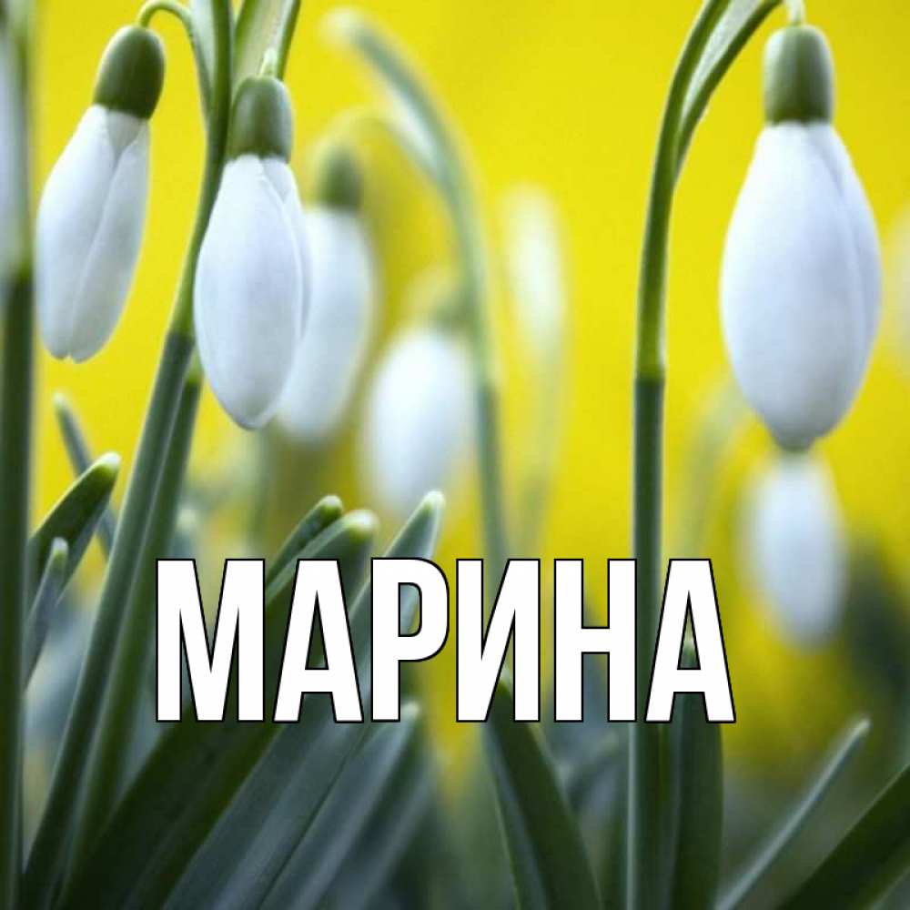Открытка на каждый день с именем, Марина Главная весенние цветы Прикольная открытка с пожеланием онлайн скачать бесплатно 