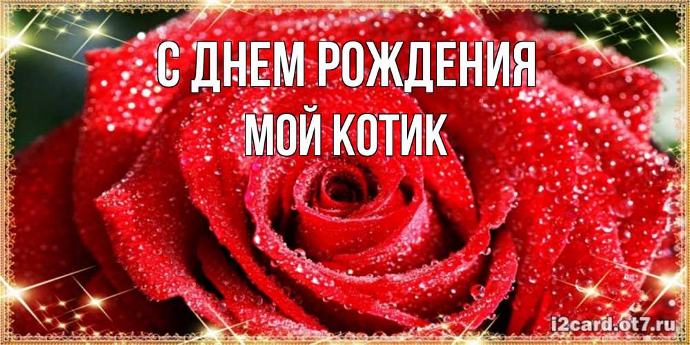 Открытка на каждый день с именем, Мой-Котик С днем рождения роса и роза. открытка с красивой розой Прикольная открытка с пожеланием онлайн скачать бесплатно 