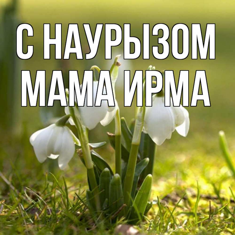 Открытка на каждый день с именем, Мама-Ирма С наурызом ранние цветы 2 Прикольная открытка с пожеланием онлайн скачать бесплатно 