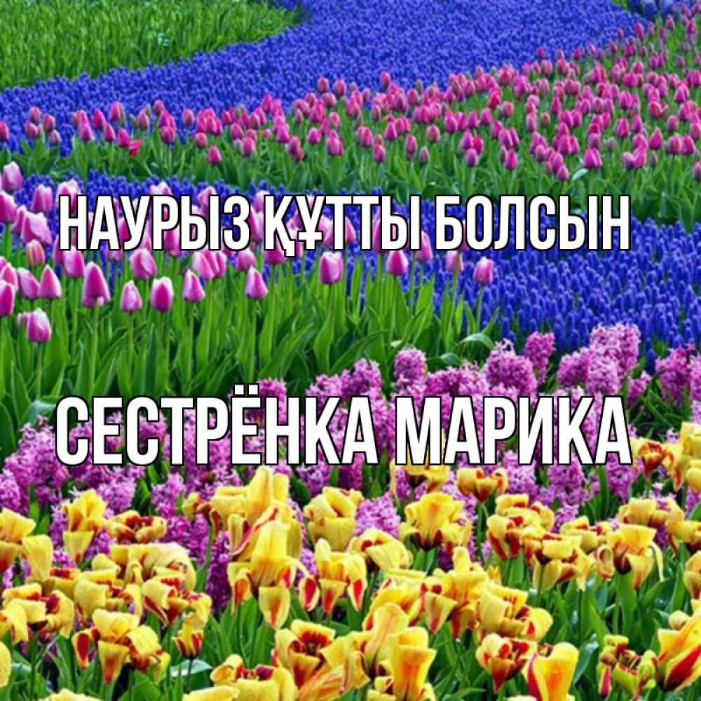 Открытка на каждый день с именем, Сестрёнка-Марика Наурыз құтты болсын цветы Прикольная открытка с пожеланием онлайн скачать бесплатно 