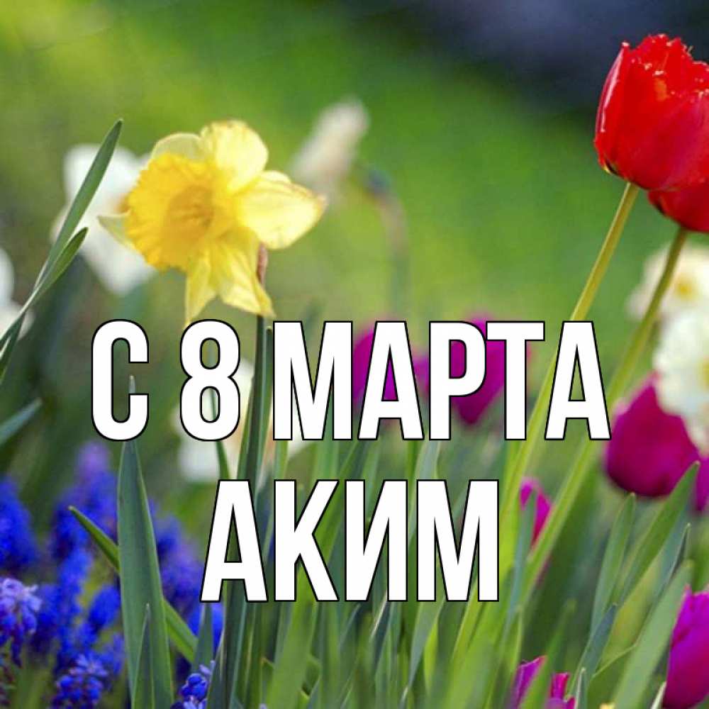 Открытка на каждый день с именем, Аким С 8 МАРТА международный женский день 3 Прикольная открытка с пожеланием онлайн скачать бесплатно 