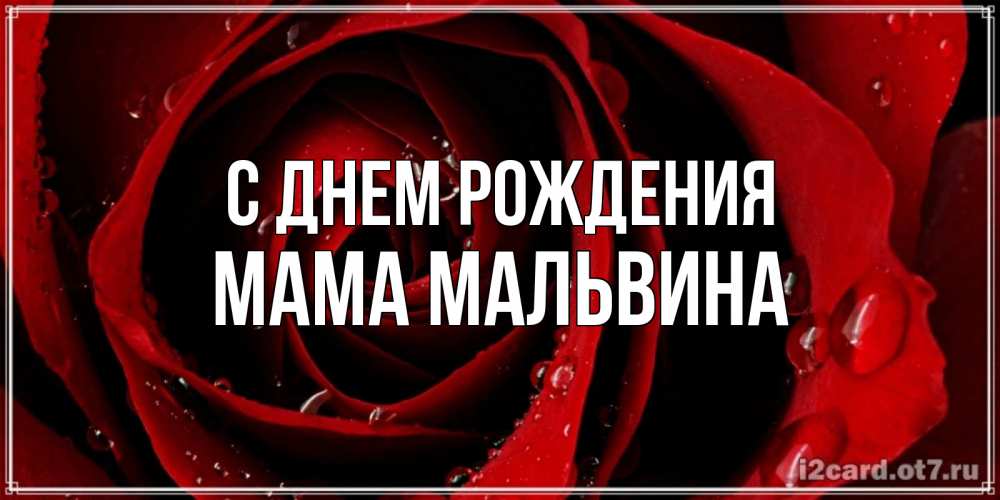 Открытка на каждый день с именем, Мама-Мальвина С днем рождения крупная бордовая роза Прикольная открытка с пожеланием онлайн скачать бесплатно 