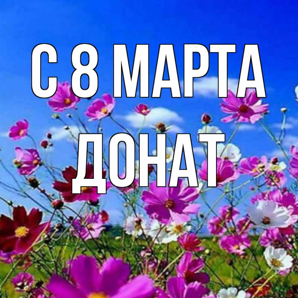 Открытка на каждый день с именем, Донат С 8 МАРТА цветы Прикольная открытка с пожеланием онлайн скачать бесплатно 
