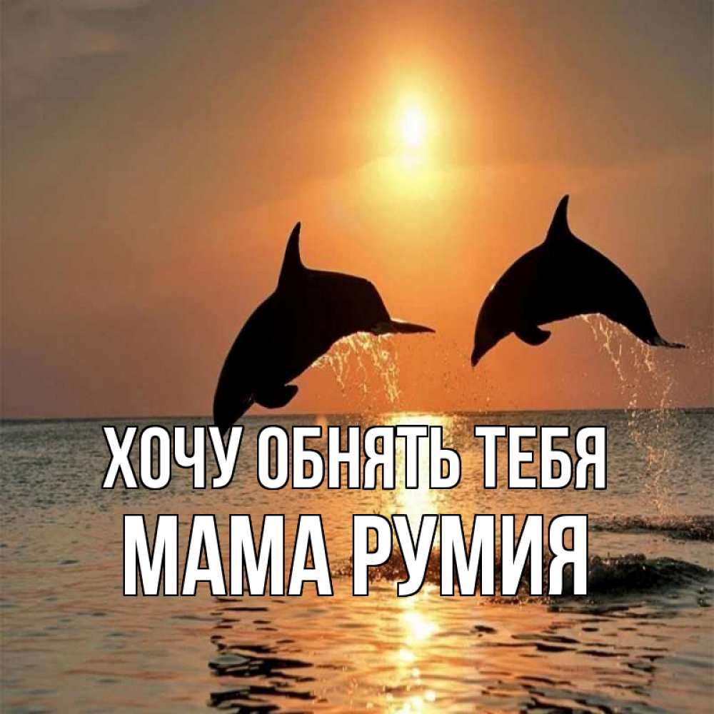 Открытка на каждый день с именем, Мама-Румия Хочу обнять тебя рыбы на закате Прикольная открытка с пожеланием онлайн скачать бесплатно 