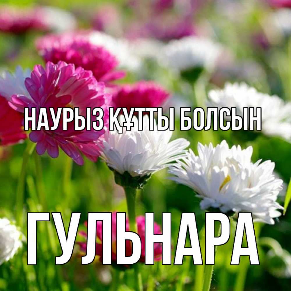 Открытка на каждый день с именем, Гульнара Наурыз құтты болсын наурыз Прикольная открытка с пожеланием онлайн скачать бесплатно 