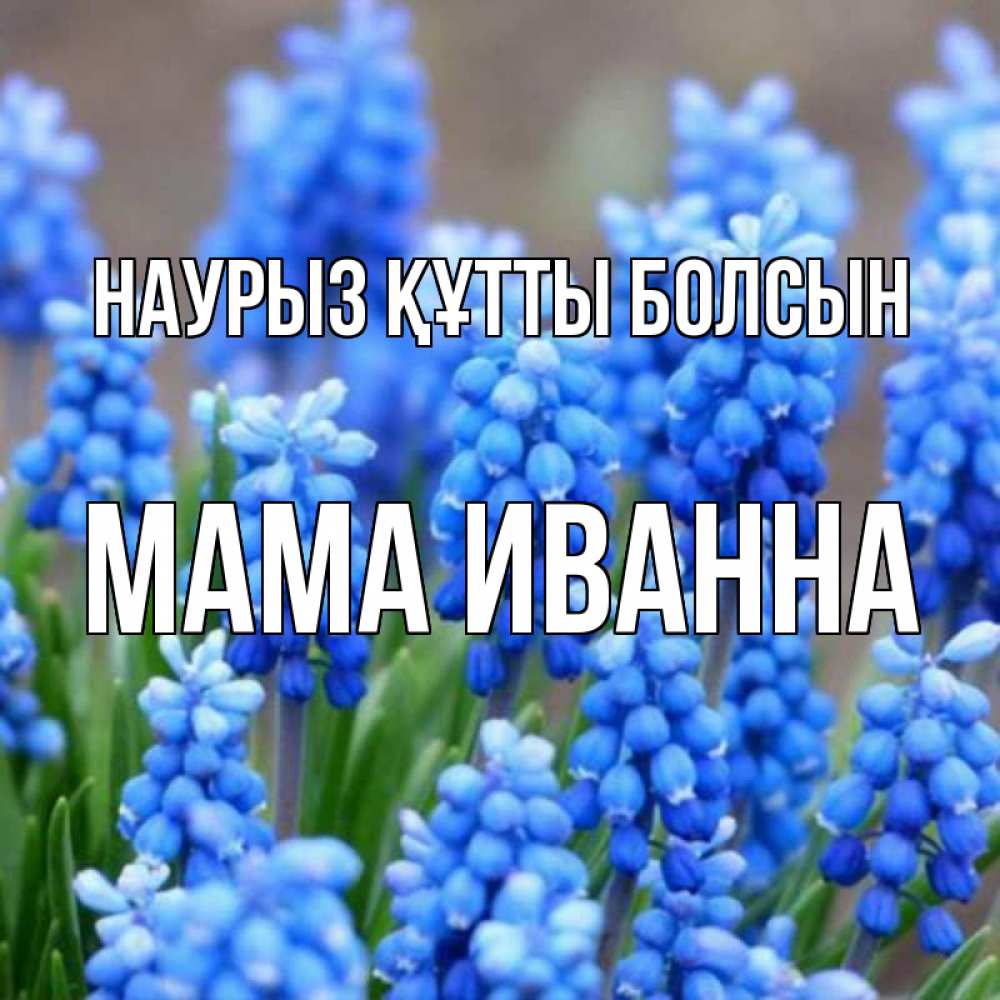 Открытка на каждый день с именем, Мама-Иванна Наурыз құтты болсын Поздравительная открытка для женщин с цветами на праздничную дату Прикольная открытка с пожеланием онлайн скачать бесплатно 