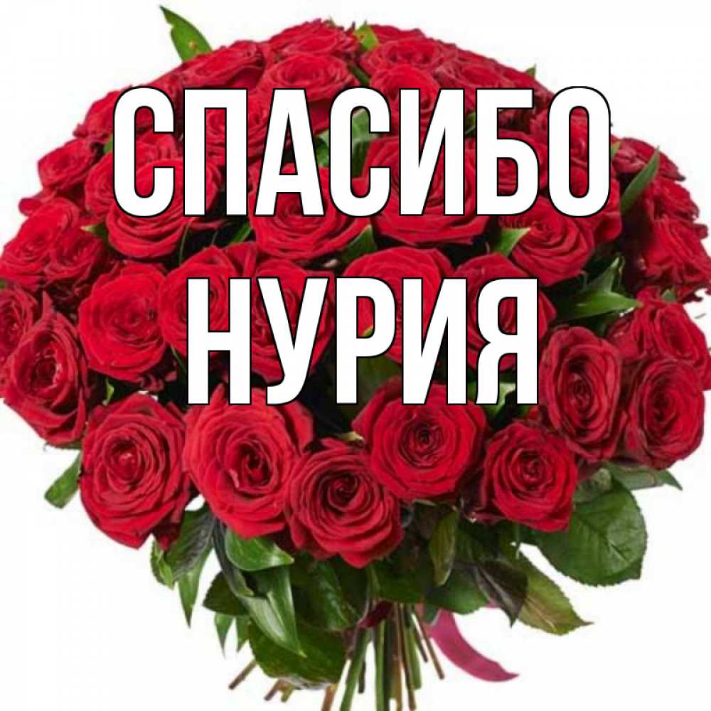 Нурия С Днем Рождения Открытки