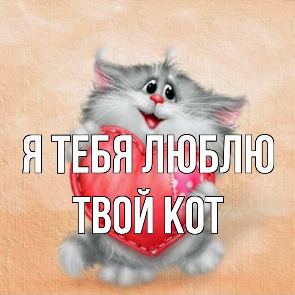 Я и твой кот