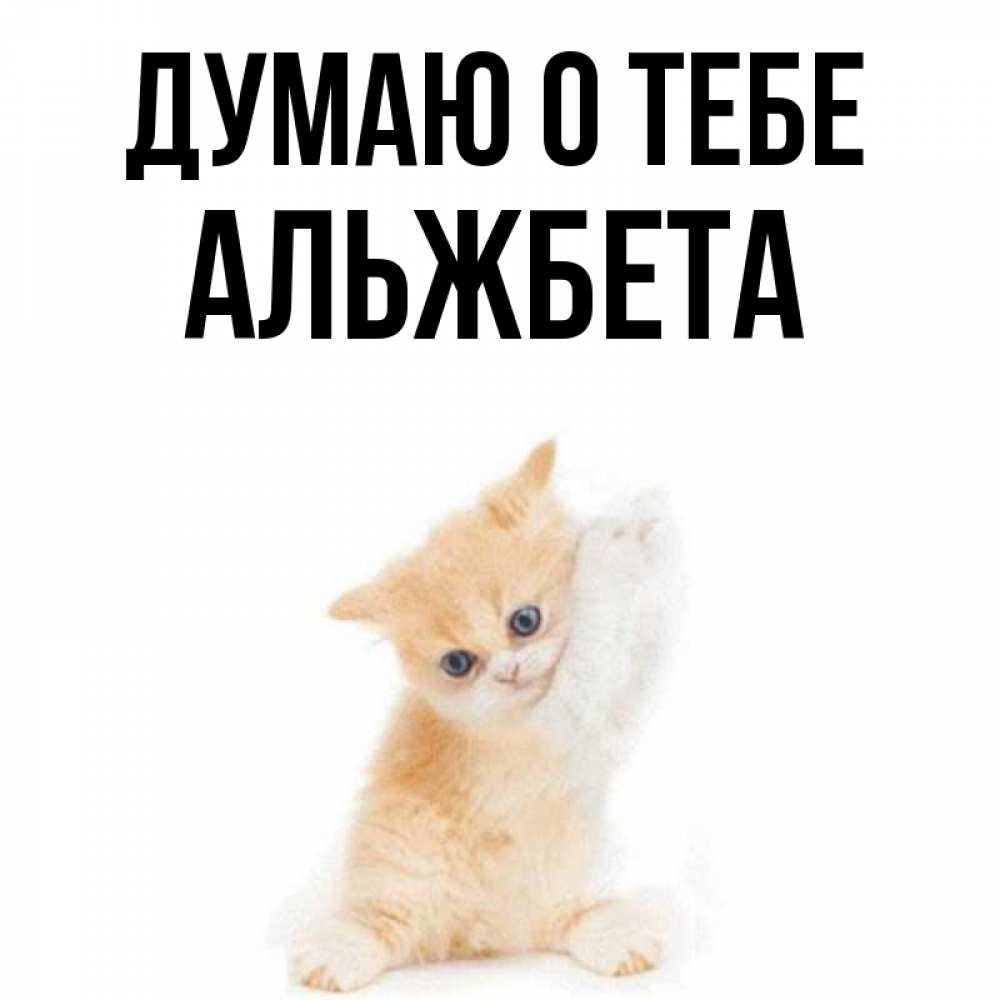 Открытка на каждый день с именем, Альжбета Думаю о тебе зверушки и милота Прикольная открытка с пожеланием онлайн скачать бесплатно 