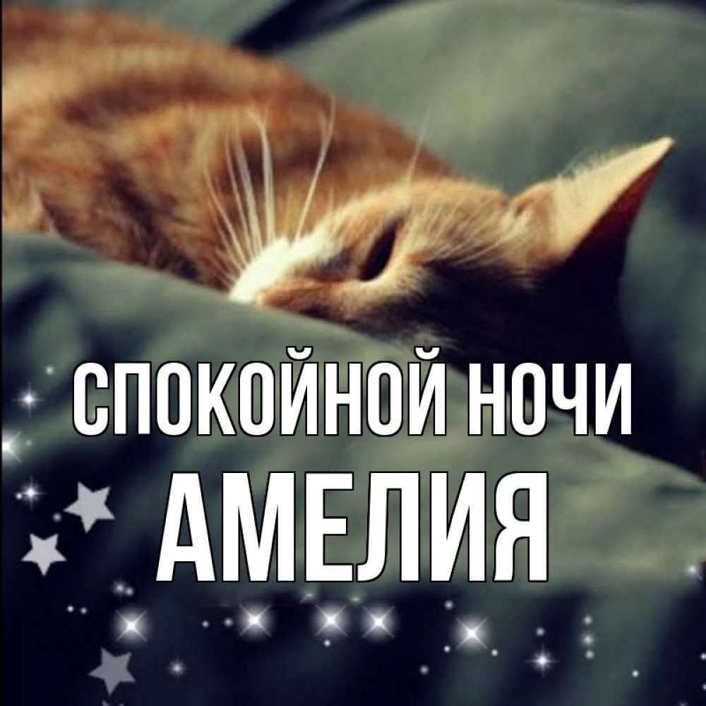 Открытка на каждый день с именем, Амелия Спокойной ночи кроватка Прикольная открытка с пожеланием онлайн скачать бесплатно 