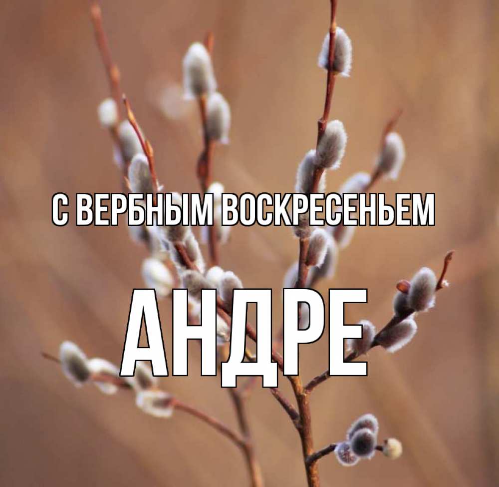 Открытка на каждый день с именем, Андре С вербным воскресеньем верба Прикольная открытка с пожеланием онлайн скачать бесплатно 