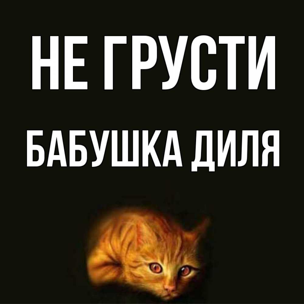 Открытка на каждый день с именем, Бабушка-Диля Не грусти лежащий кот в темноте Прикольная открытка с пожеланием онлайн скачать бесплатно 