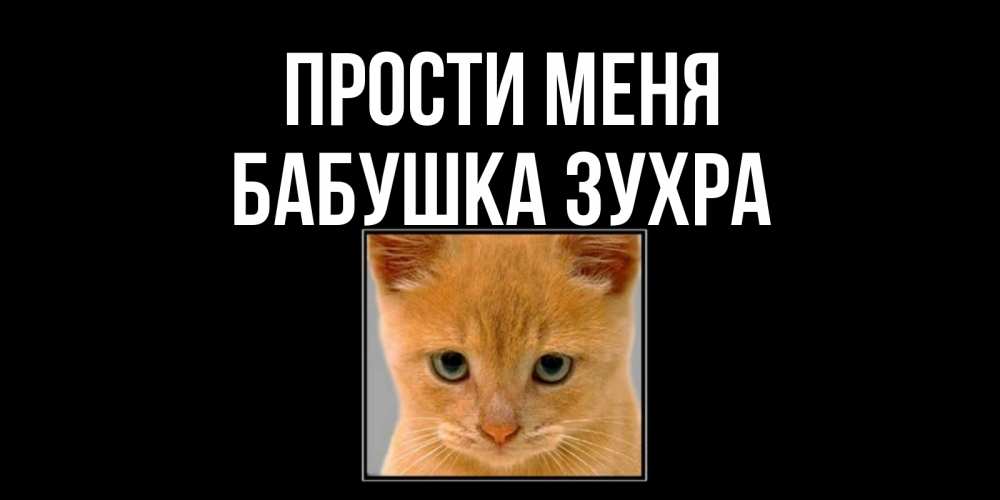 Открытка на каждый день с именем, Бабушка-Зухра Прости меня рыжий грустный кот просит прощения Прикольная открытка с пожеланием онлайн скачать бесплатно 