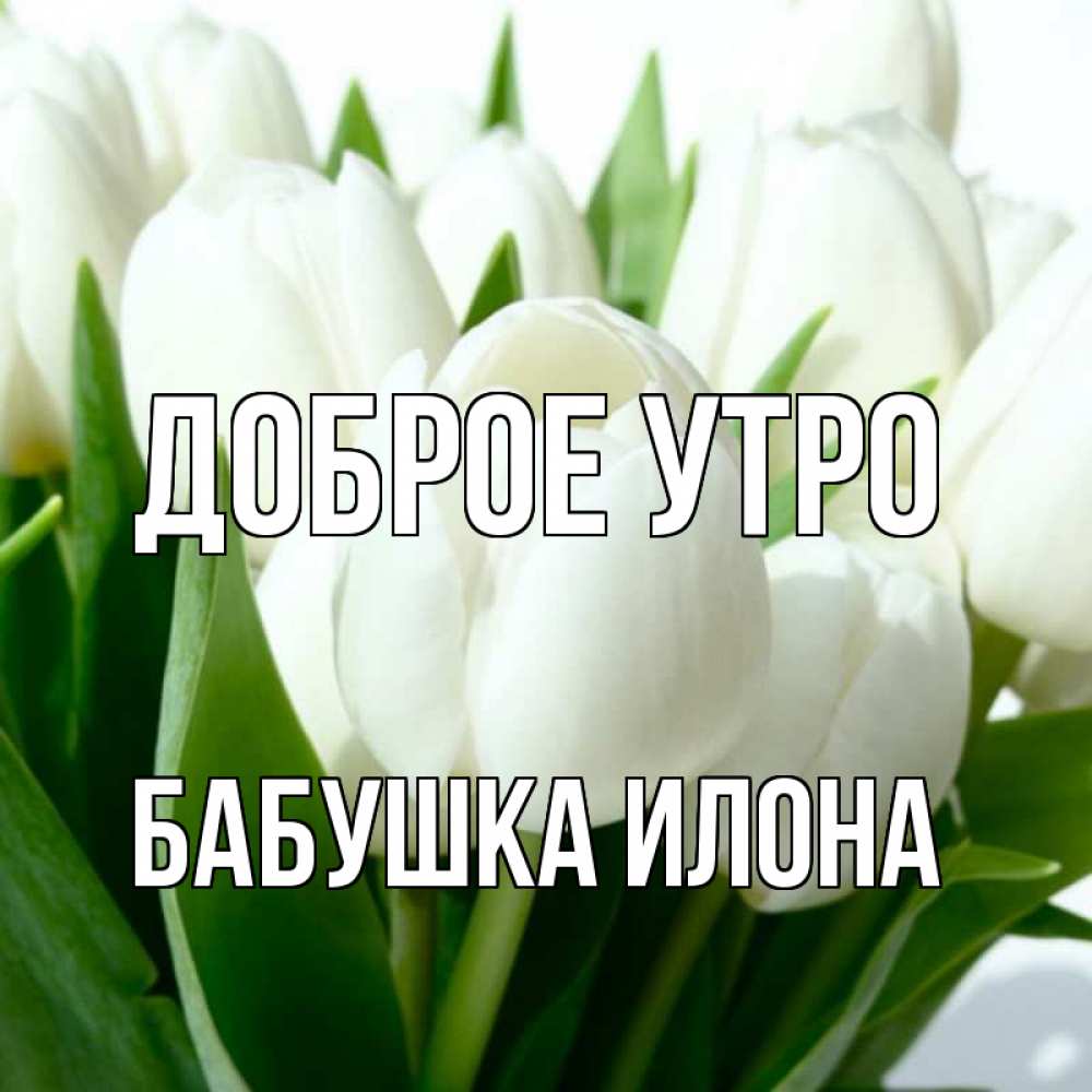 Открытка на каждый день с именем, Бабушка-Илона Доброе утро открытки на каждый день по именам Прикольная открытка с пожеланием онлайн скачать бесплатно 