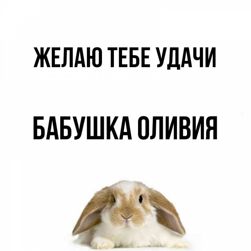 Открытка на каждый день с именем, Бабушка-Оливия Желаю тебе удачи открытки с произвольным текстом который можно вставить в открытку и создать ее самостоятельно бесплатно онлайн Прикольная открытка с пожеланием онлайн скачать бесплатно 