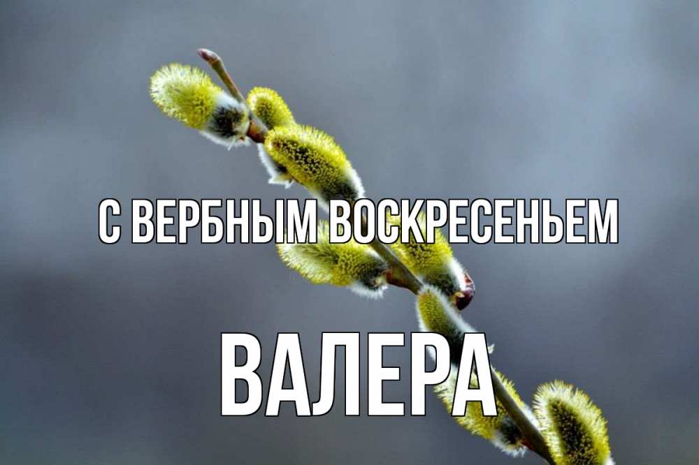 Открытка на каждый день с именем, Валера С вербным воскресеньем верба Прикольная открытка с пожеланием онлайн скачать бесплатно 