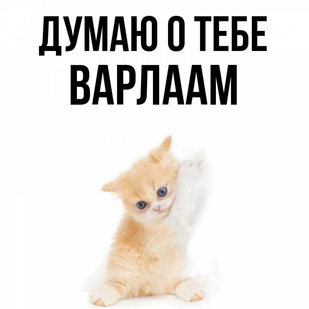 Открытка на каждый день с именем, Варлаам Думаю о тебе зверушки и милота Прикольная открытка с пожеланием онлайн скачать бесплатно 