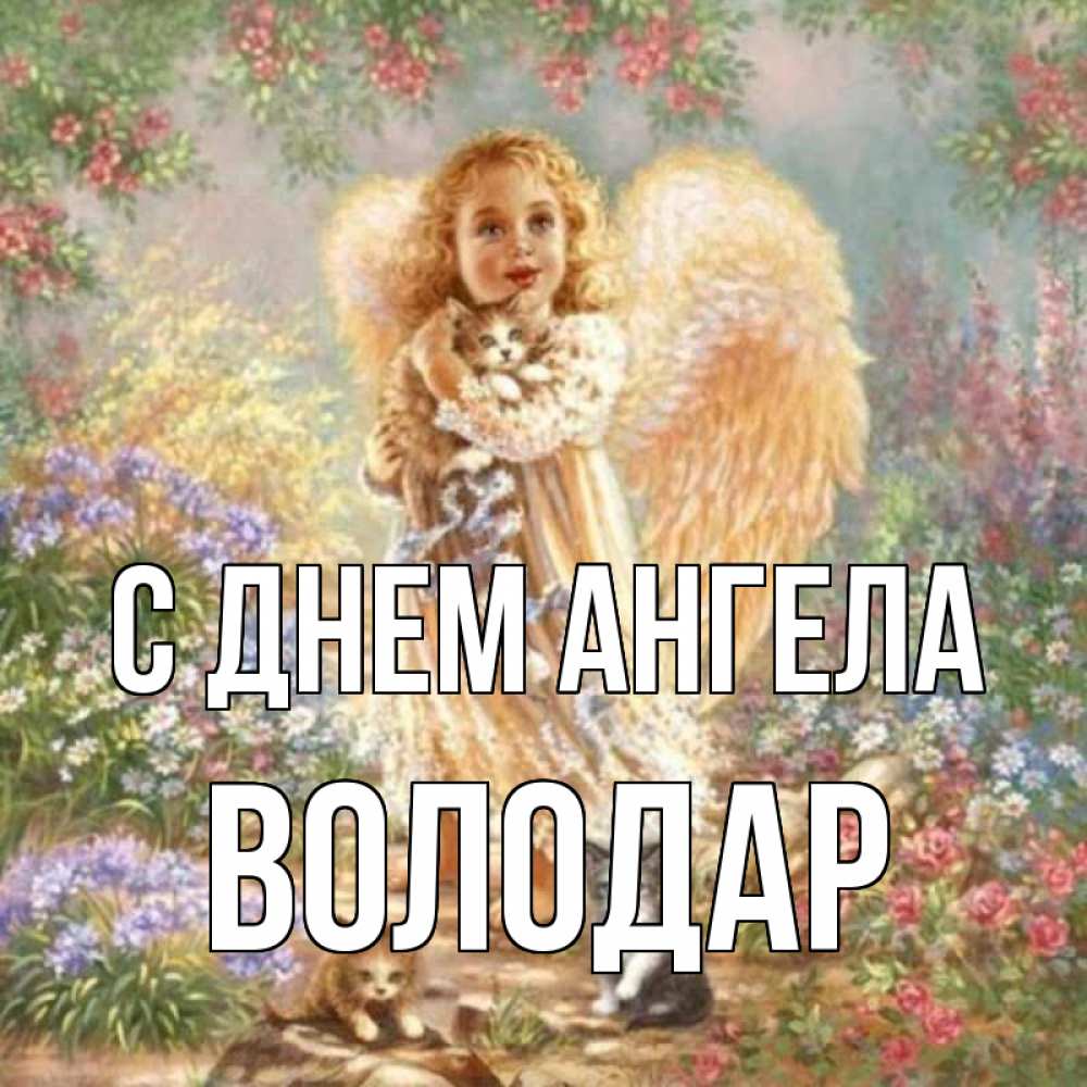 Открытка на каждый день с именем, Володар С днем ангела держит котенка Прикольная открытка с пожеланием онлайн скачать бесплатно 