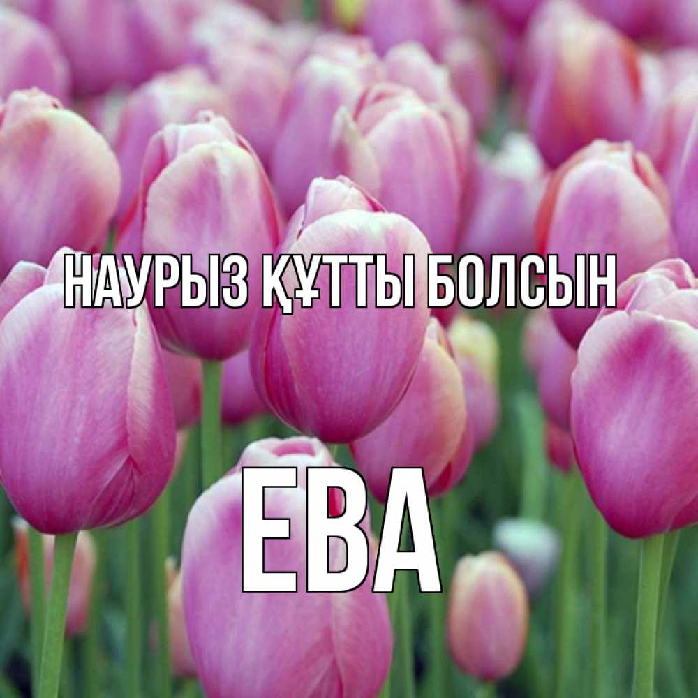 Открытка на каждый день с именем, Ева Наурыз құтты болсын на наурыз  день 3 Прикольная открытка с пожеланием онлайн скачать бесплатно 