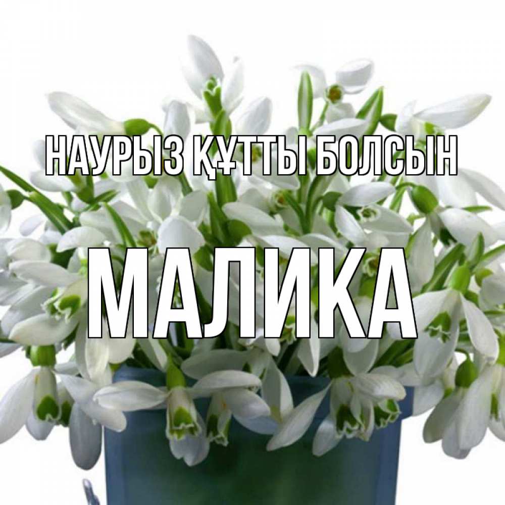 Открытка на каждый день с именем, Малика Наурыз құтты болсын цветы к наурызу Прикольная открытка с пожеланием онлайн скачать бесплатно 