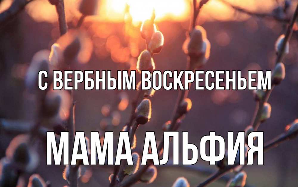 Открытка на каждый день с именем, Мама-Альфия С вербным воскресеньем верба Прикольная открытка с пожеланием онлайн скачать бесплатно 