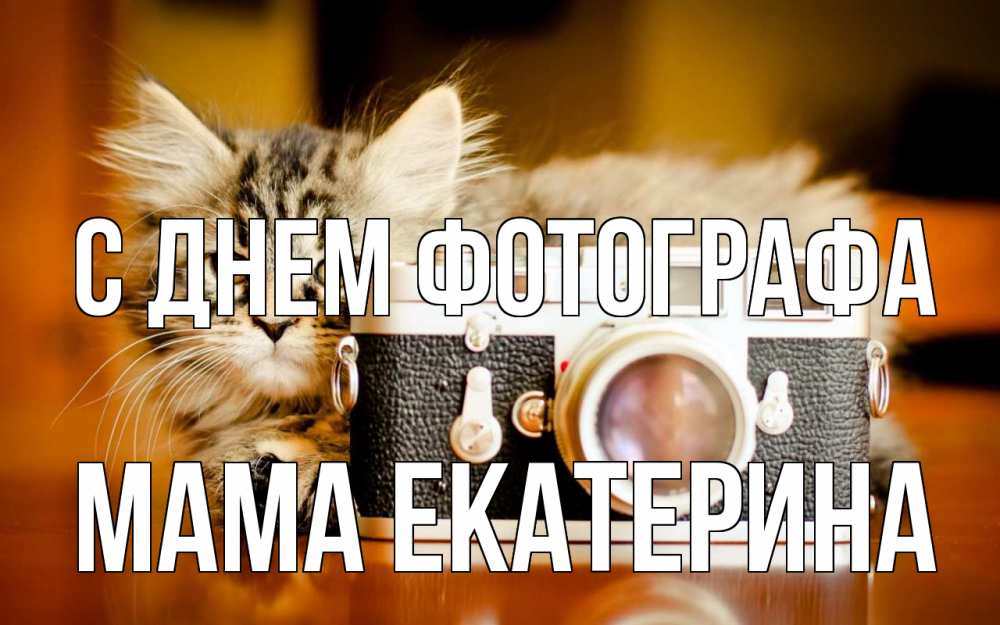 Открытка на каждый день с именем, Мама-Екатерина С днем фотографа с днем фотографа Прикольная открытка с пожеланием онлайн скачать бесплатно 