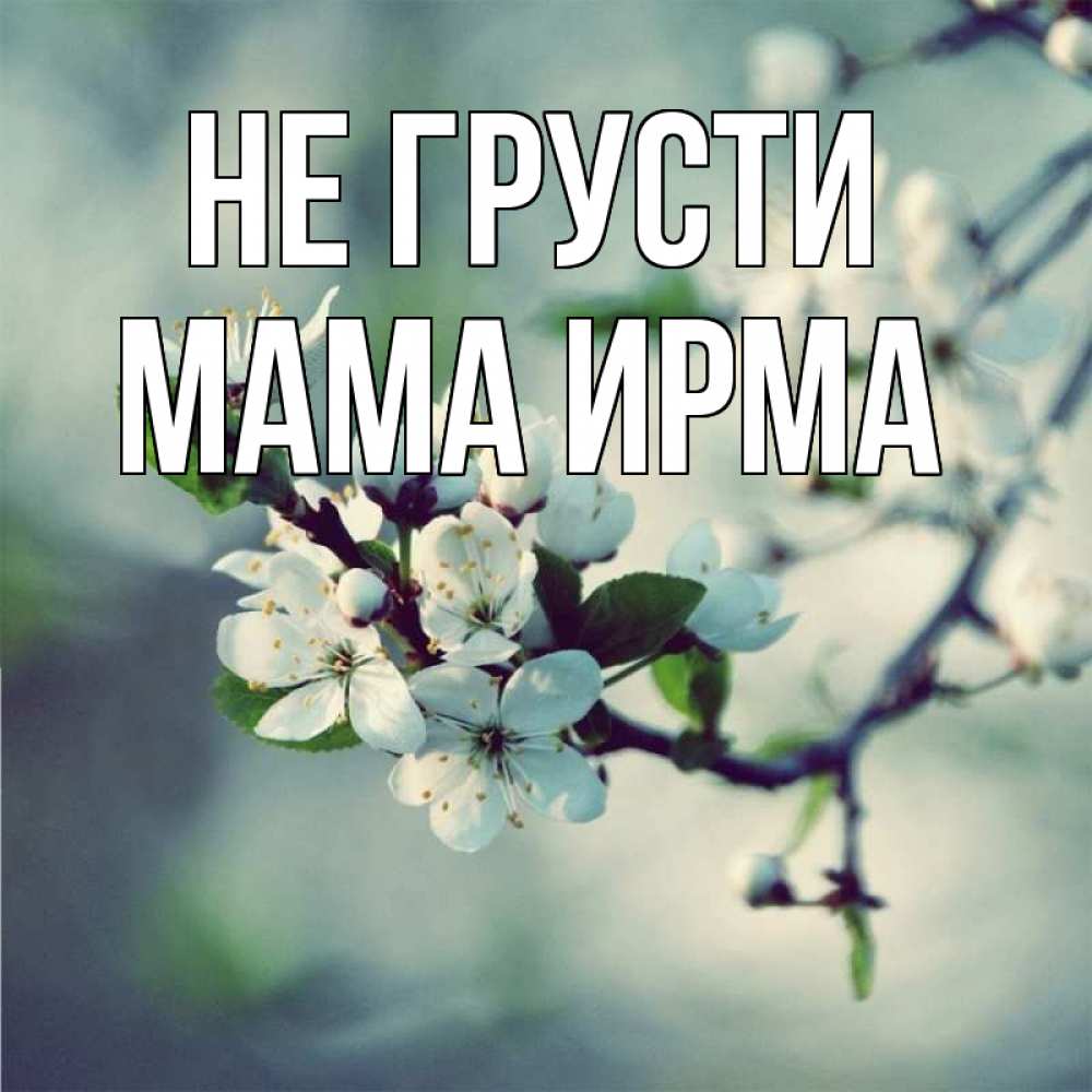 Открытка на каждый день с именем, Мама-Ирма Не грусти яблоня в цвету 1 Прикольная открытка с пожеланием онлайн скачать бесплатно 