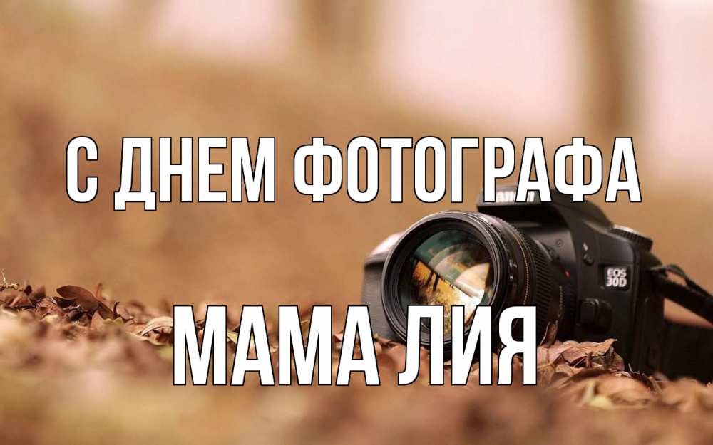 Открытка на каждый день с именем, Мама-Лия С днем фотографа с днем фотографа Прикольная открытка с пожеланием онлайн скачать бесплатно 
