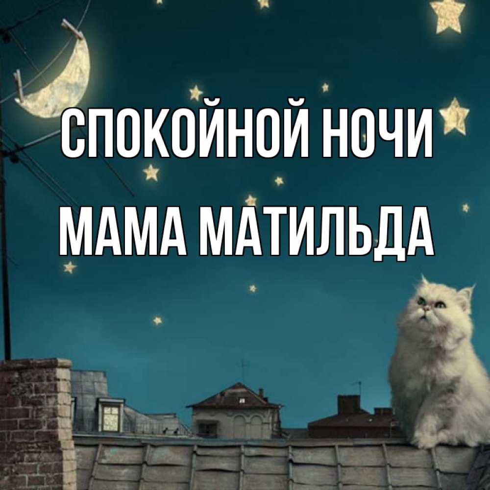 Открытка на каждый день с именем, Мама-Матильда Спокойной ночи белый кот сидит на крыше Прикольная открытка с пожеланием онлайн скачать бесплатно 