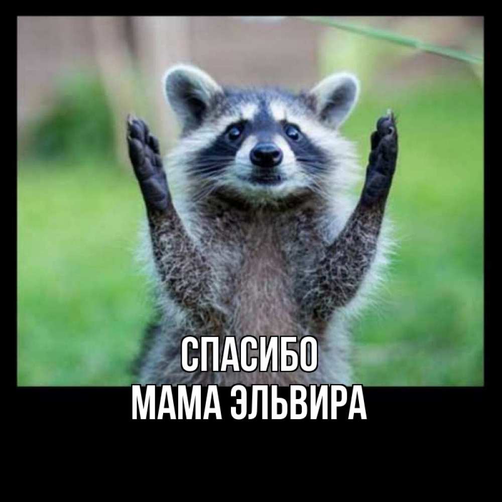 Открытка на каждый день с именем, Мама-Эльвира Спасибо милые животные Прикольная открытка с пожеланием онлайн скачать бесплатно 