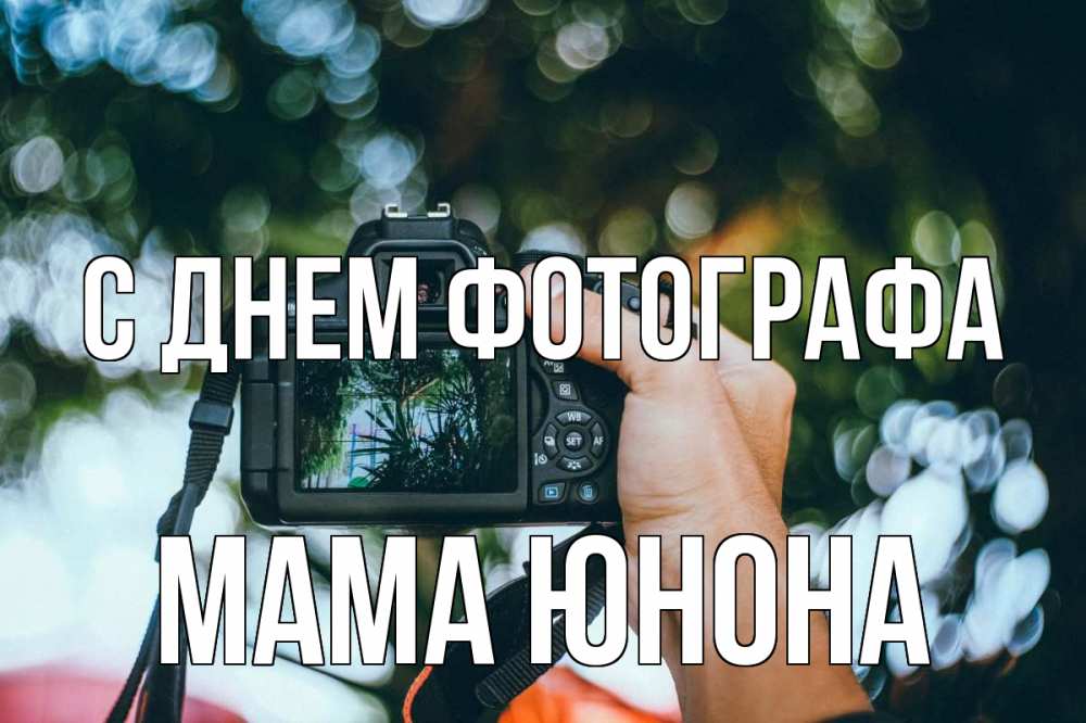 Открытка на каждый день с именем, Мама-Юнона С днем фотографа с днем фотографа Прикольная открытка с пожеланием онлайн скачать бесплатно 
