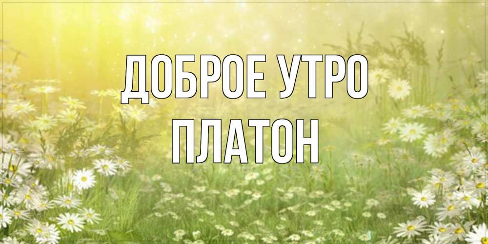 Открытка на каждый день с именем, Платон Доброе утро доброе утро Прикольная открытка с пожеланием онлайн скачать бесплатно 