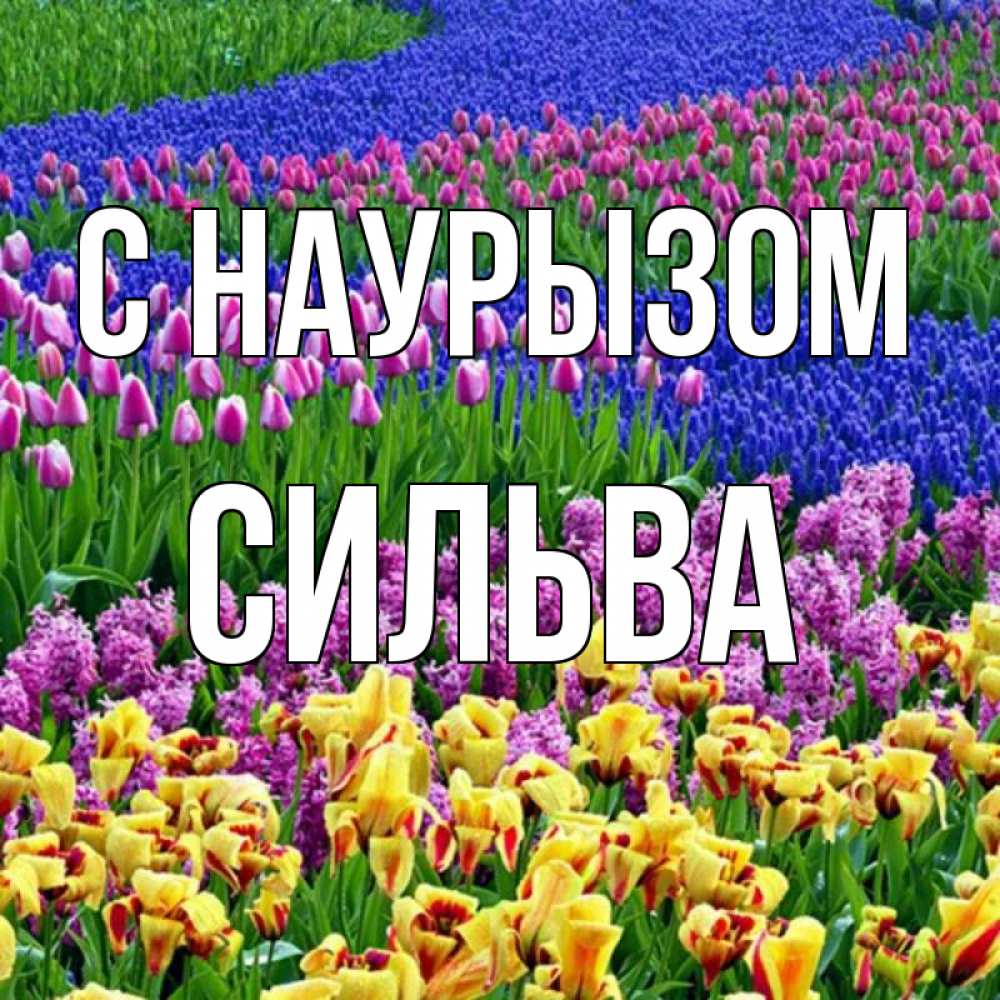 Открытка на каждый день с именем, Сильва С наурызом цветы Прикольная открытка с пожеланием онлайн скачать бесплатно 