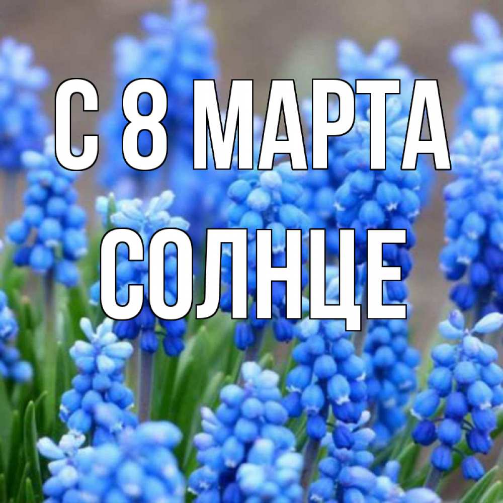 Открытка на каждый день с именем, Солнце С 8 марта Поздравительная открытка для женщин с цветами на праздничную дату Прикольная открытка с пожеланием онлайн скачать бесплатно 