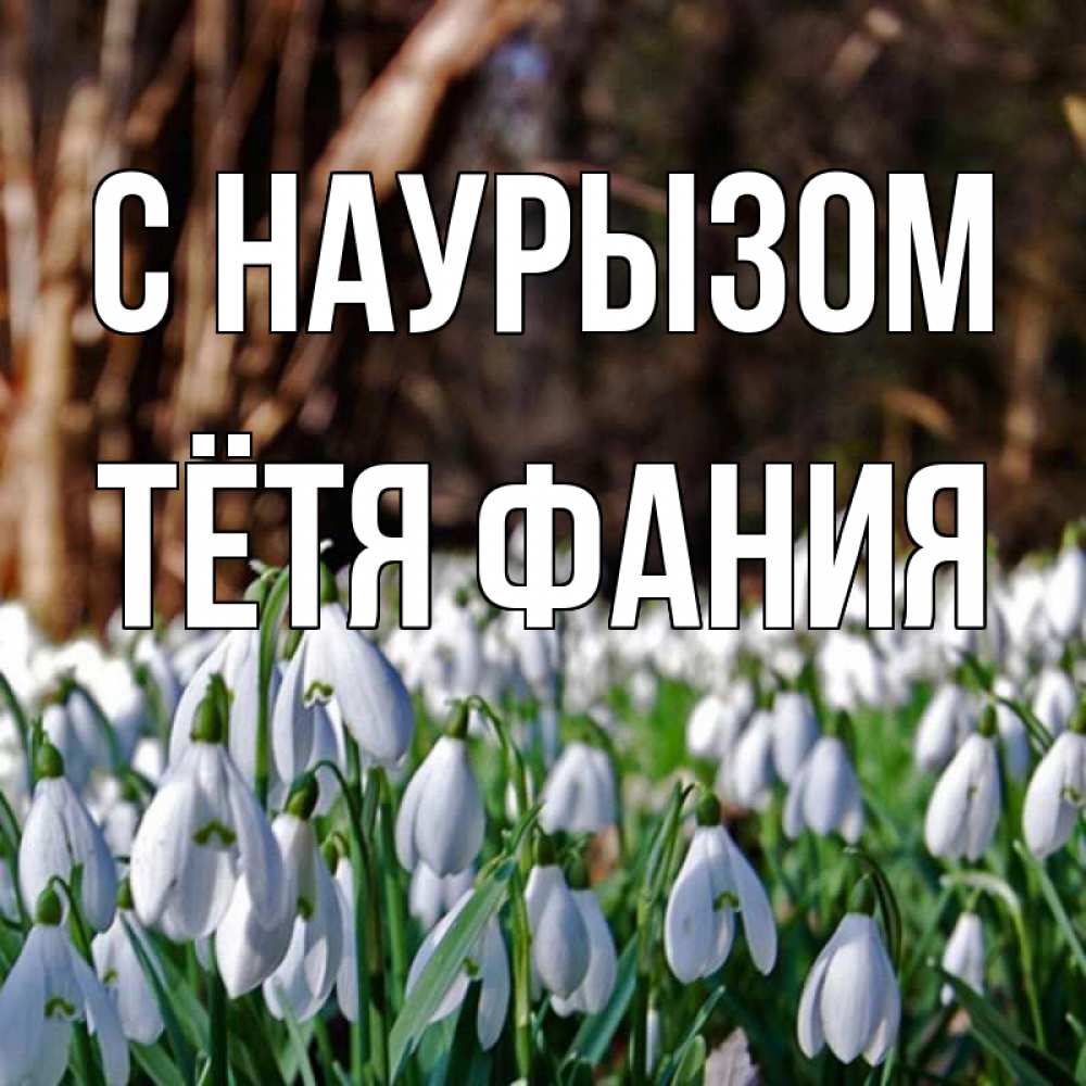 Открытка на каждый день с именем, Тётя-Фания С наурызом с подснежниками 1 Прикольная открытка с пожеланием онлайн скачать бесплатно 