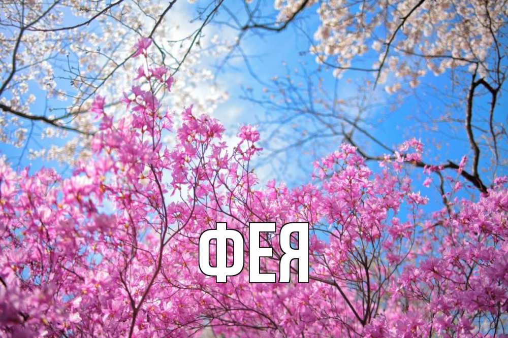 Открытка на каждый день с именем, Фея Главная С 1 мая Прикольная открытка с пожеланием онлайн скачать бесплатно 