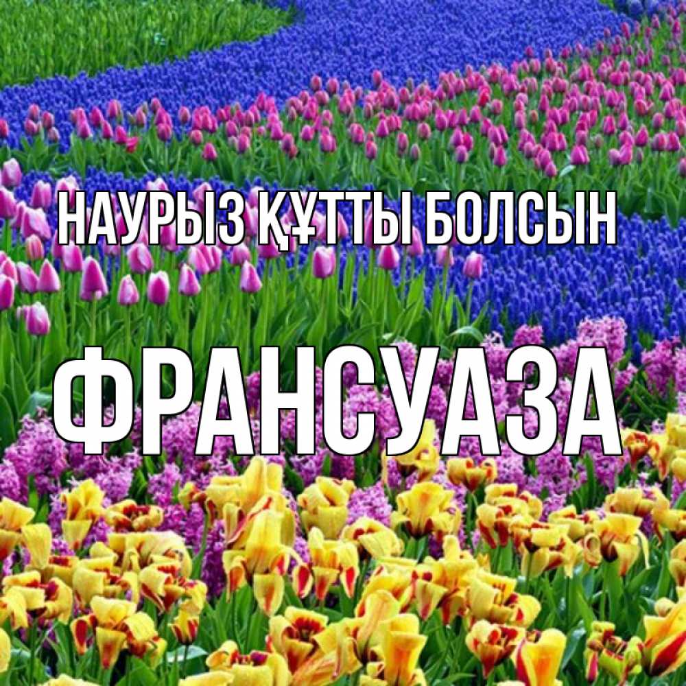 Открытка на каждый день с именем, Франсуаза Наурыз құтты болсын цветы Прикольная открытка с пожеланием онлайн скачать бесплатно 