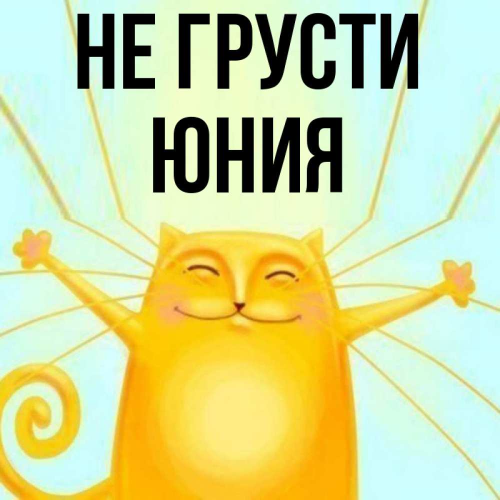 Открытка на каждый день с именем, Юния Не грусти обнимашки усатые Прикольная открытка с пожеланием онлайн скачать бесплатно 